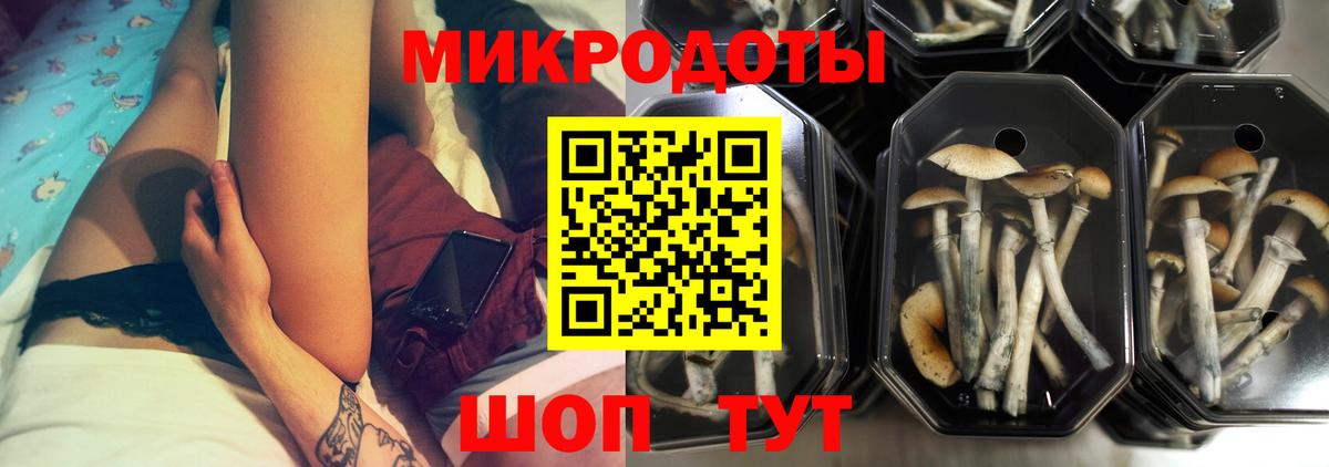 Псилоцибиновые грибы GOLDEN TEACHER  Галлюциногенные грибы прущие грибы  Вход с VPN  Зерноград 